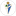 Pinhalnovense