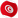 Tunisia U20