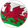 Wales U21