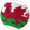 Wales U17 W