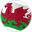 Wales U21