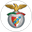 Arronches e Benfica