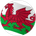 Wales U21