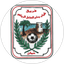 Shabab Al Sahel