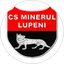 Minerul Lupeni
