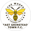 East Grinstead Town