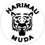 Harimau Muda II