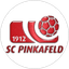 Pinkafeld