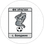 Aprilets Boyadzhik