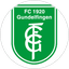 FC 1920 Gundelfingen