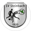 SV Steinbach