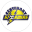 Centenary Stormers