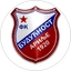 Budućnost Arilje