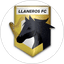 Llaneros
