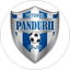 Viitorul Târgu Jiu II