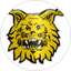Ilves IV