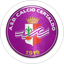 Calcio Certaldo