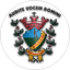 VOCEM