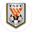 Shandong Taishan B
