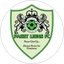 Paget Lions