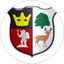 Cinderford Town