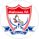 Halcones
