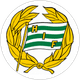 Hammarby IF
