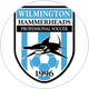 Wilmington Hammerheads