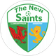 The New Saints