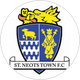 St Neots Town