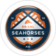 Seahorses