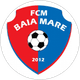 Minaur Baia Mare
