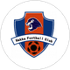 Guangdong South Tigers