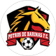 Potros de Barinas