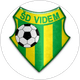 Videm