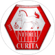 Viitorul Curiţa