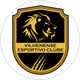 Vilhenense