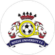 Ndejje University