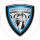 Lionsbridge