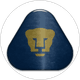 Pumas Tabasco