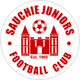 Sauchie Juniors