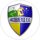 Jacobinense