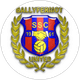 Ballyfermot United