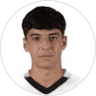 P. Avena, Midfielder for Palermo