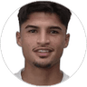Larson, Midfielder for Palmeiras