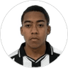 Matheusinho, Forward for Botafogo