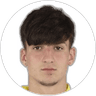 Jurgen Peci, Midfielder for Hellas Verona