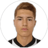 Rogerinho, Forward for Botafogo