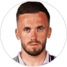 Edin Visca, Forward for Istanbul Basaksehir