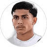 Matheus Souza, Forward for Ponte Preta